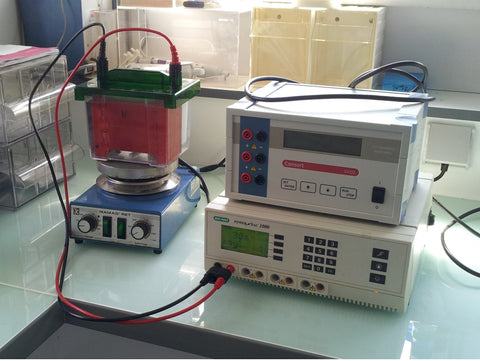 Maintaining Buffer Temperature During Western Blot Transfer
