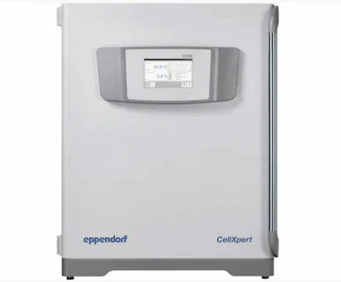 Preventing Contamination in Mammalian Cell Culture