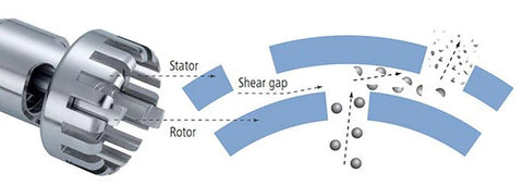 The Forces Involved in Homogenization Explained
