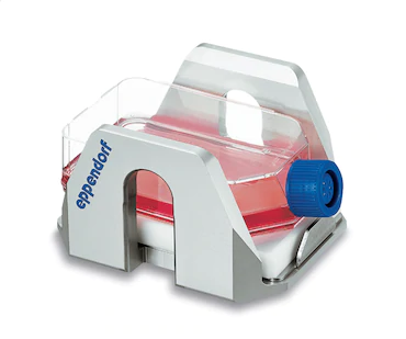 Adapter image