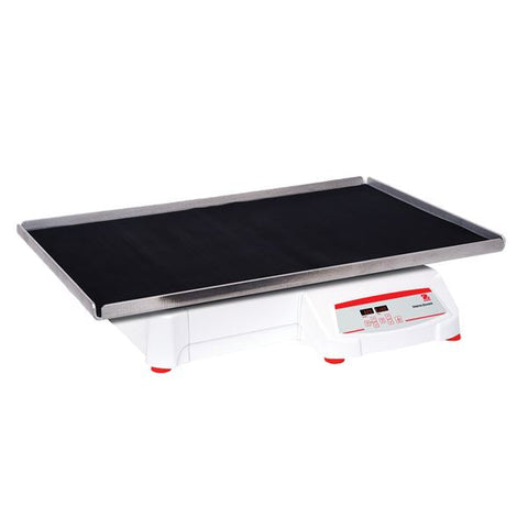 Ohaus 68 kg Capacity Digital Heavy Duty Orbital Shakers image